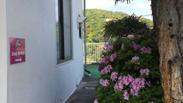 施設の入り口 / 12