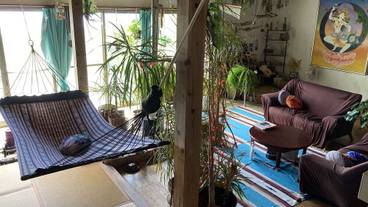 リビング エリア / 18