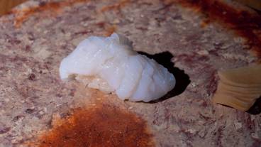 食事・飲み物 / 23