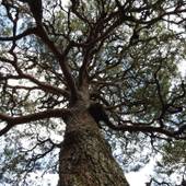 赤松院（和歌山県 旅館） / 4