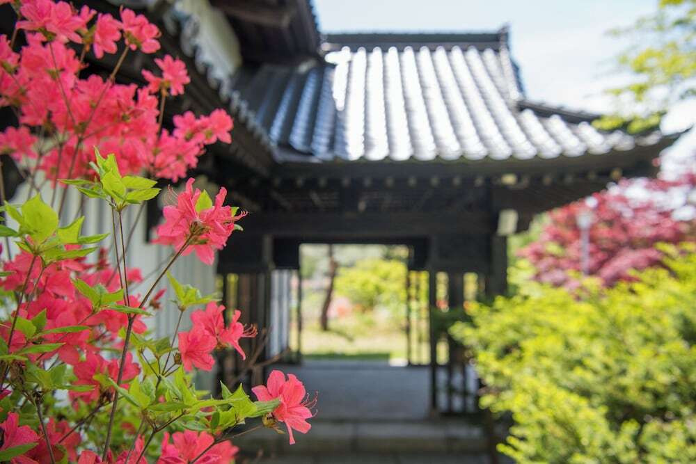 庭園