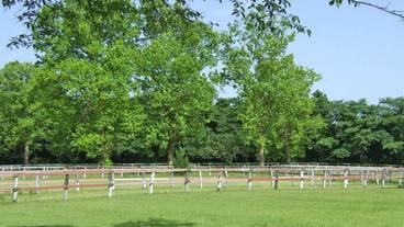 観光スポット / 15