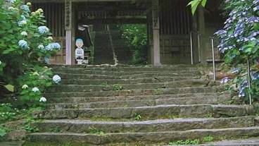 観光スポット / 11