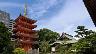 観光スポット / 13