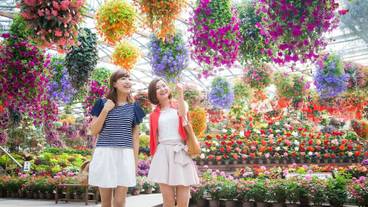 観光スポット / 3