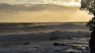 施設からの眺望 / 21