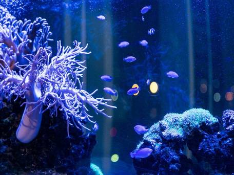 那覇東急REIホテル / 3