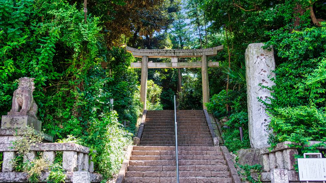 代々木八幡宮 入口 / 2