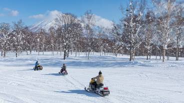 スノーモービル / 17