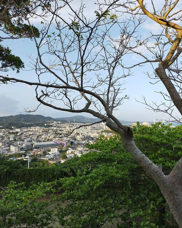 sweet_december22さんの写真 / 1