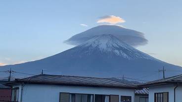 施設からの眺望 / 11