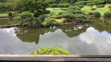 新宿御苑・池② / 4