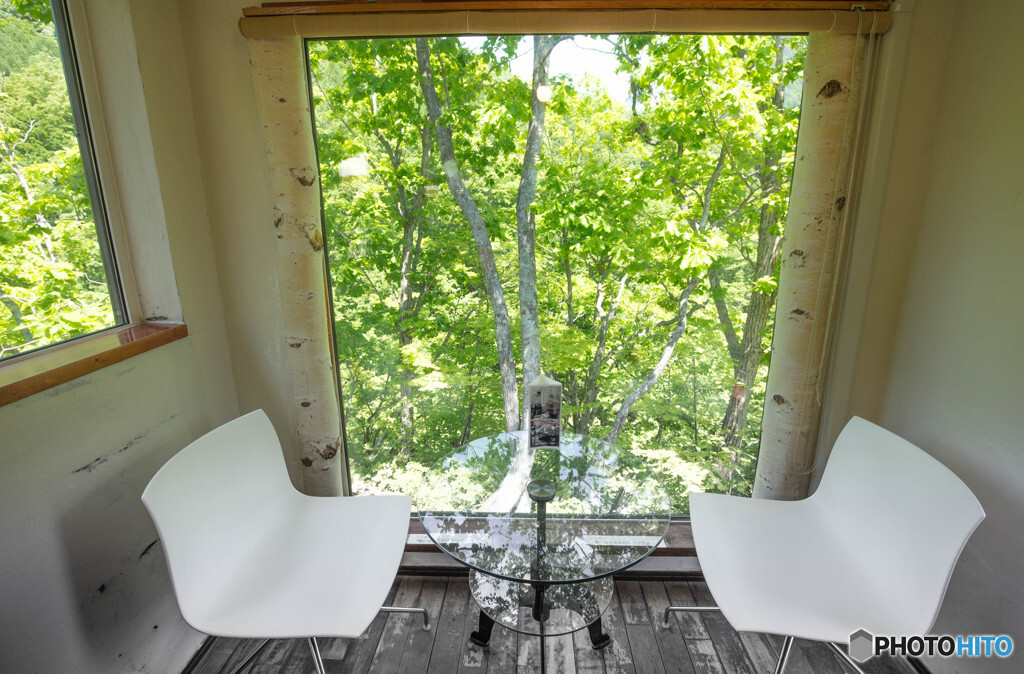 森林浴をしたり、個性派カフェでまったり過ごしたり♩3450729