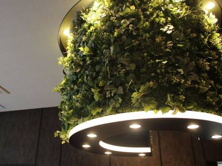 ホテルハルロット福岡博多 / 2