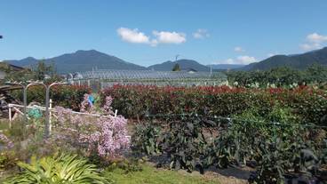 ガーデン ビュー / 36