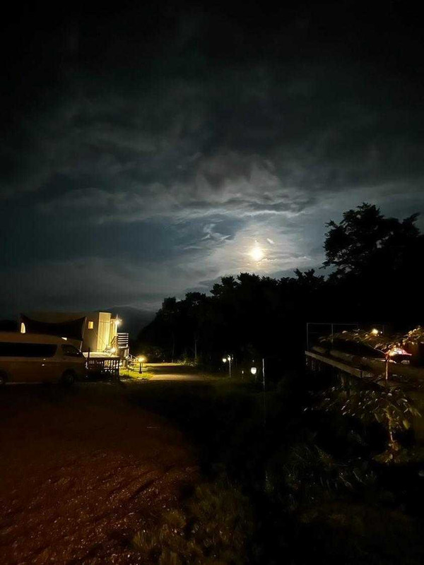 maya0780さんの写真 / 2