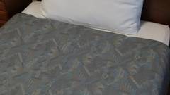 ひるがの高原 ペンショングリーンレイク