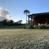 Kencha Rumah（ケンチャ・ルマ）（東京都 ペンション） / 3