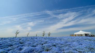 大阪まいしまシーサイドパーク② / 3