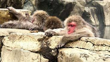 施設の敷地 / 17