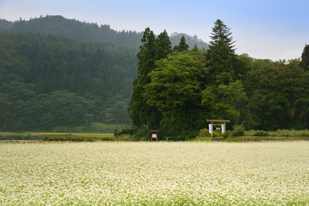 県内屈指のそば処・北村山692535