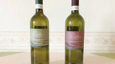 食事・飲み物 / 1