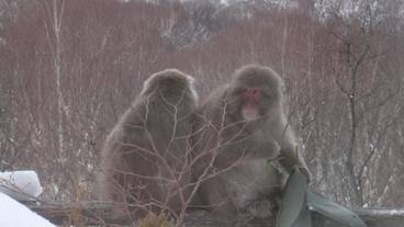 施設の敷地 / 32