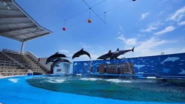 観光スポット / 8