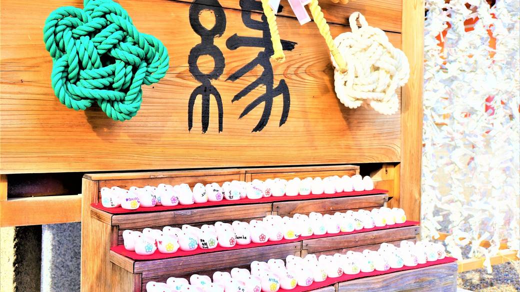 幻想的な姿にうっとり
「伏見稲荷大社」へ
 / 2