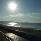 函館 シーサイドホテルかもめ（北海道 ビジネスホテル） / 5