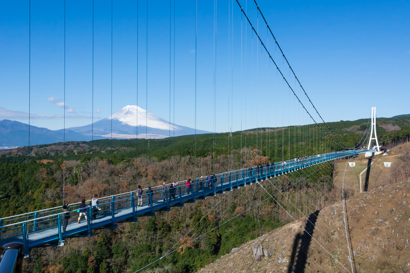 富士山の絶景に海の幸…♪三島でリフレッシュ女子旅！3501857