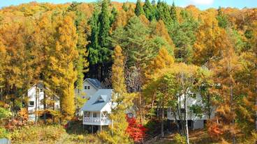 施設の敷地 / 22