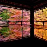 息を飲む絶景…！京都「瑠璃光院」の紅葉が驚くほど美しい！