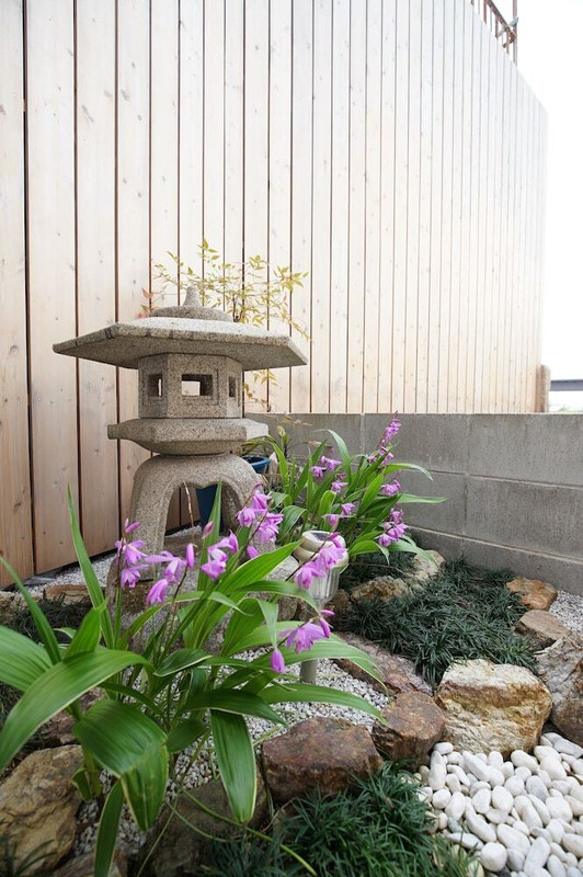 ガーデン ビュー