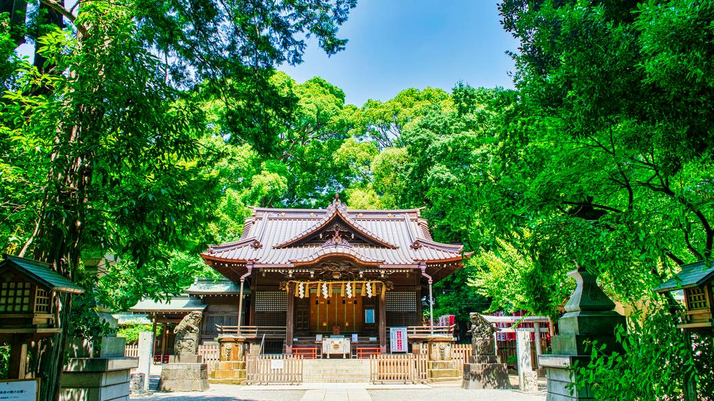 代々木八幡宮 / 1