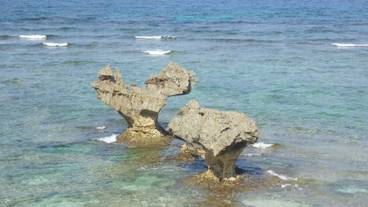 施設からの眺望 / 13