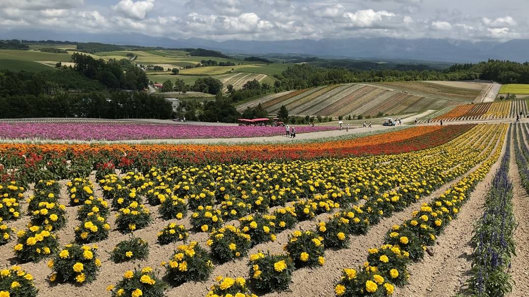 約30種類の花が楽しめます / 2