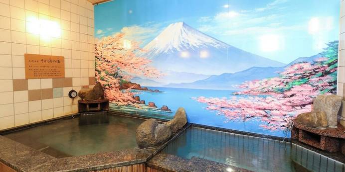 天然温泉 そが浜の湯 ドーミーイン千葉City Soga（千葉県 ビジネスホテル） / 1