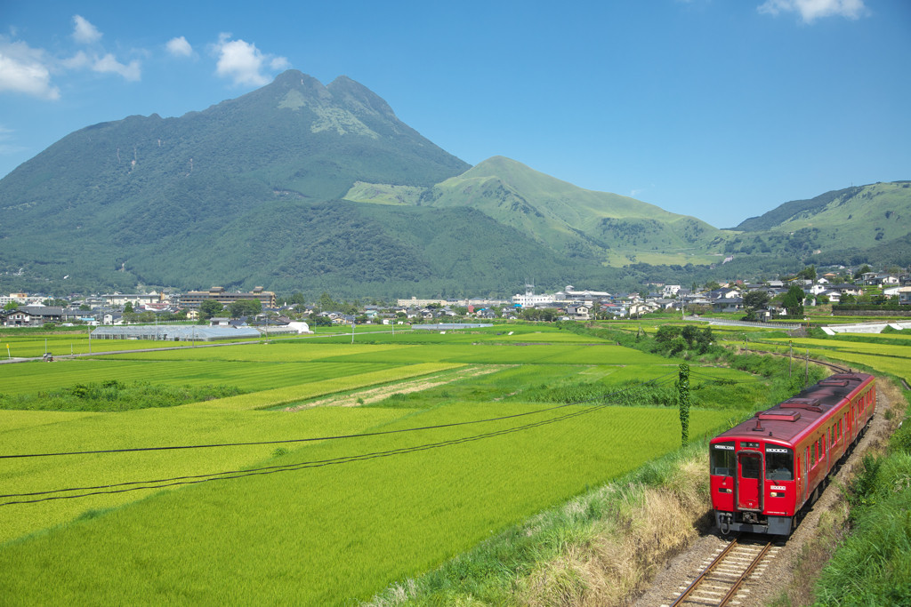 自然と名湯に恵まれた「大分」でペットとお泊り♡3743812