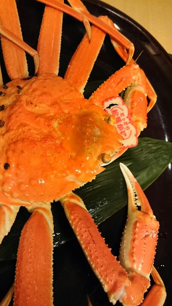 「湯喜望 白扇」 料理 45785453 松葉ガニ