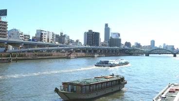 施設からの眺望 / 26