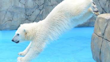 施設からの眺望 / 13