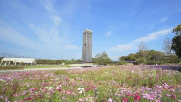 観光スポット / 3