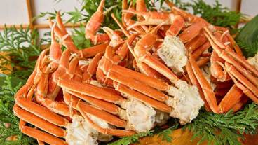 食事・飲み物 / 35