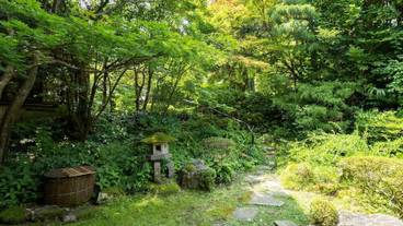 日本庭園 / 37