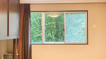 部屋からの景観 / 11