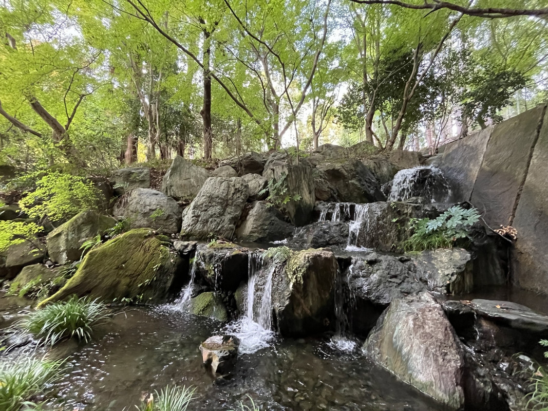 ラウンジの前の庭です。滝もあります。
