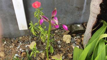 バスルーム / 24