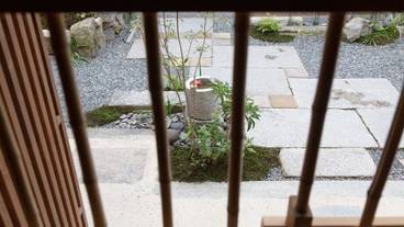 ガーデン ビュー / 6