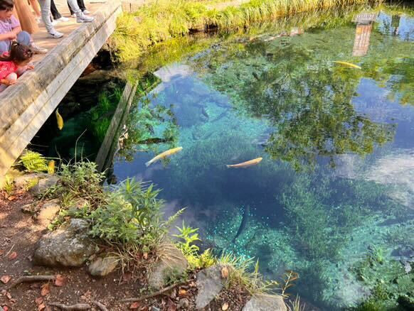 aoyuuzさんの写真 / 1